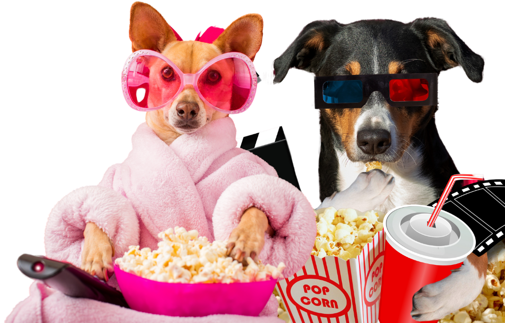 Peliculas Flujo TV